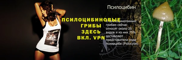 СК Осинники
