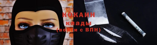 СК Осинники