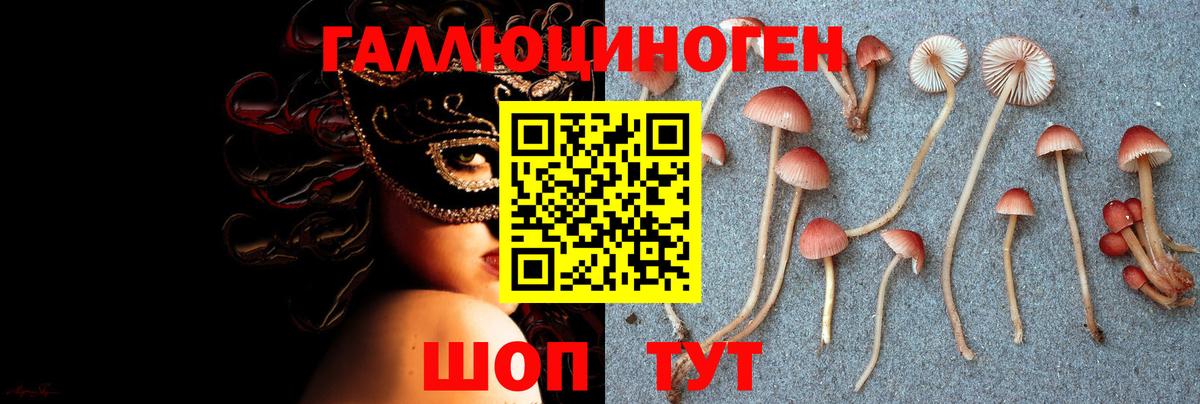 Галлюциногенные грибы Psilocybine cubensis  Вход с VPN  Сухой Лог 