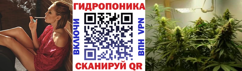 ОМГ ОМГ ссылка  цены   Сухой Лог  Бошки марихуана LSD WEED 